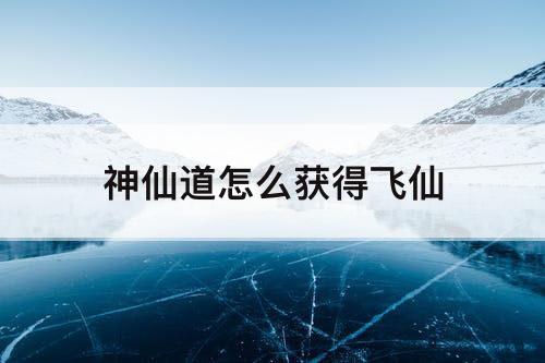 神仙道怎么获得飞仙
