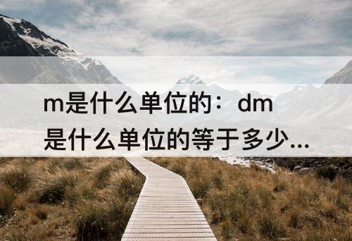 m是什么单位的：dm是什么单位的等于多少米