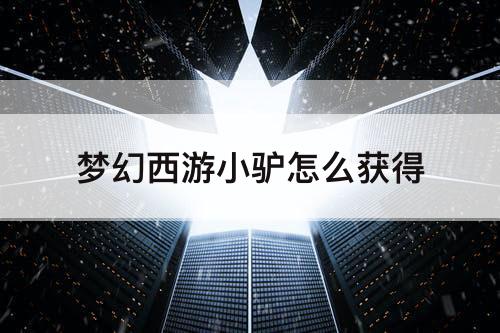 梦幻西游小驴怎么获得