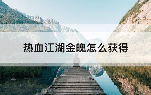 热血江湖金魄怎么获得