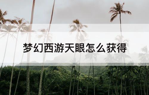 梦幻西游天眼怎么获得