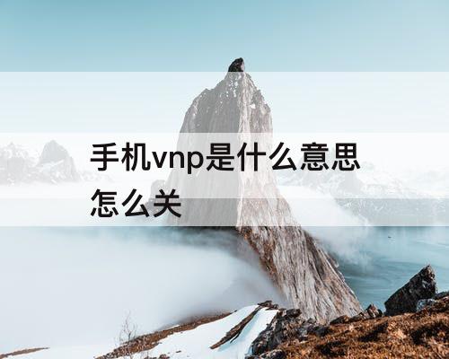 手机vnp是什么意思怎么关