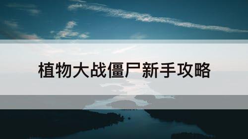 植物大战僵尸新手攻略