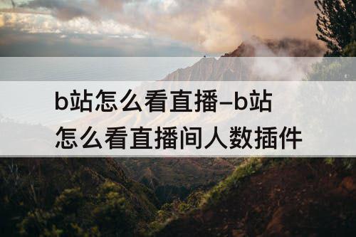b站怎么看直播-b站怎么看直播间人数插件
