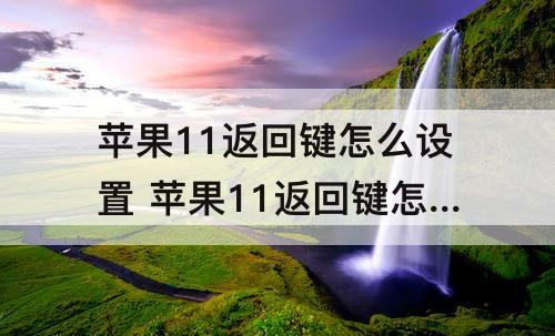 苹果11返回键怎么设置 苹果11返回键怎么设置透明