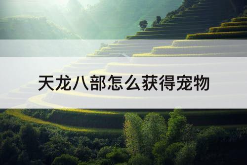 天龙八部怎么获得宠物