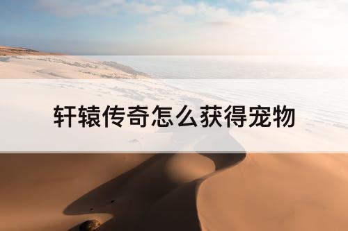 轩辕传奇怎么获得宠物