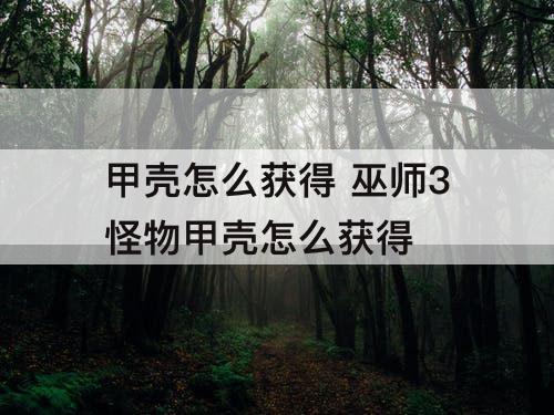甲壳怎么获得 巫师3怪物甲壳怎么获得