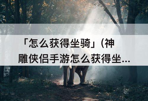 「怎么获得坐骑」(神雕侠侣手游怎么获得坐骑)