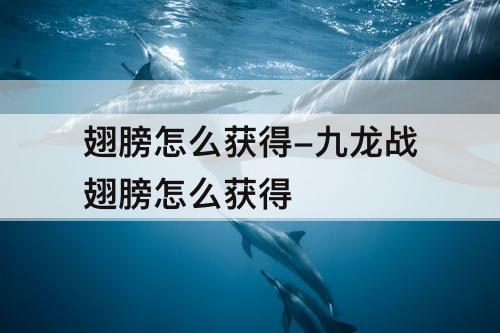 翅膀怎么获得-九龙战翅膀怎么获得