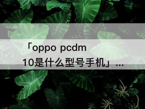 「oppo pcdm10是什么型号手机」(oppo pcdm10是什么型号手机多少钱)
