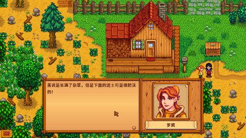 Stardew截图