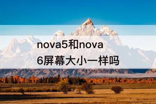 nova5和nova6屏幕大小一样吗