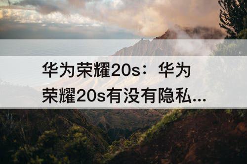 华为荣耀20s：华为荣耀20s有没有隐私空间