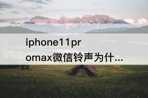 iphone11promax微信铃声为什么改不了