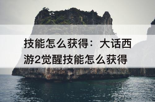 技能怎么获得：大话西游2觉醒技能怎么获得