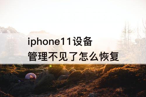 iphone11设备管理不见了怎么恢复