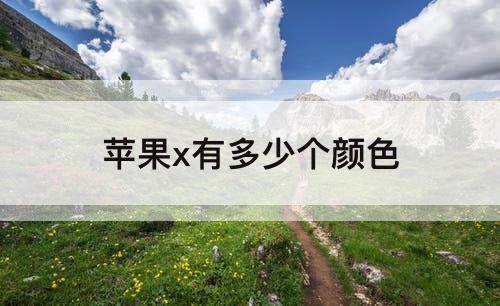 苹果x有多少个颜色