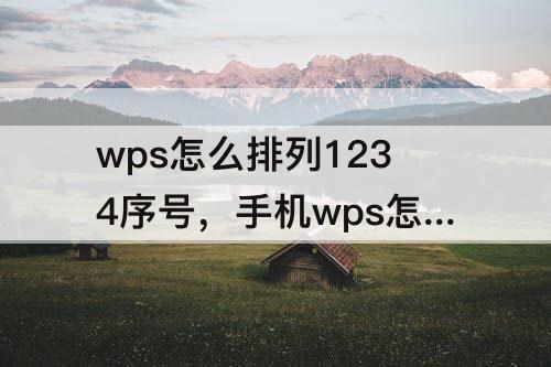wps怎么排列1234序号，手机wps怎么排列1234序号