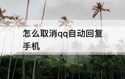 怎么取消qq自动回复手机
