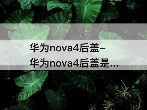 华为nova4后盖-华为nova4后盖是什么材质
