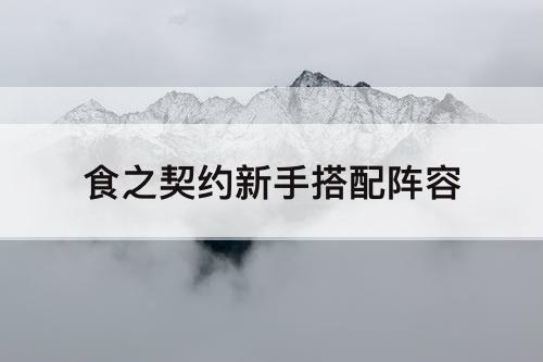 食之契约新手搭配阵容