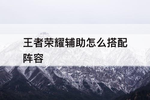 王者荣耀辅助怎么搭配阵容