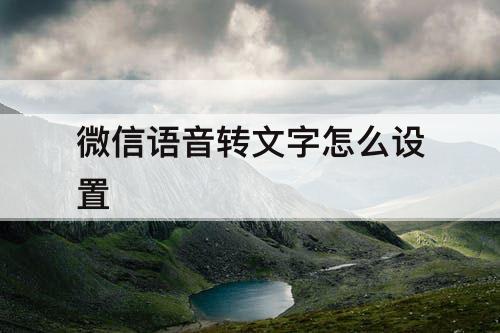 微信语音转文字怎么设置