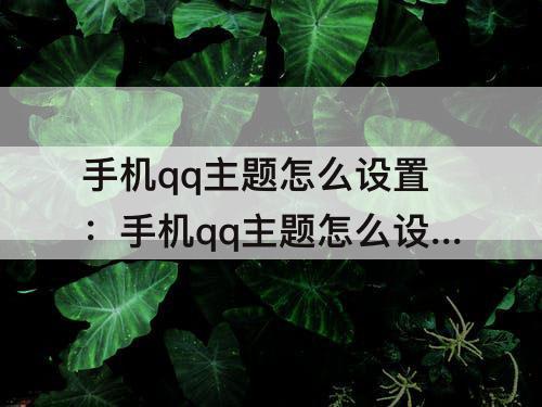 手机qq主题怎么设置：手机qq主题怎么设置自定义