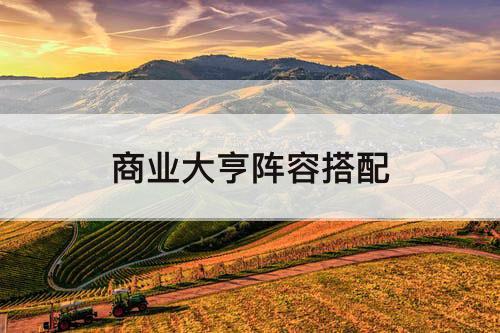 商业大亨阵容搭配