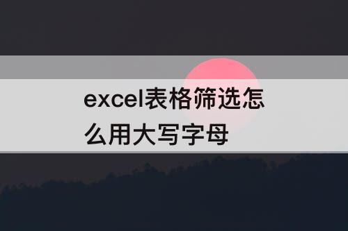 excel表格筛选怎么用大写字母