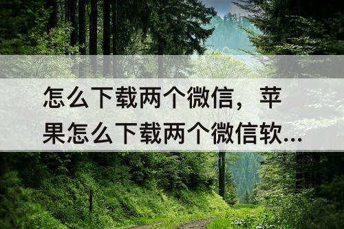 怎么下载两个微信，苹果怎么下载两个微信软件在手机上