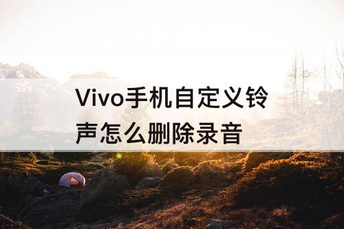 Vivo手机自定义铃声怎么删除录音