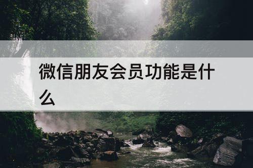微信朋友会员功能是什么