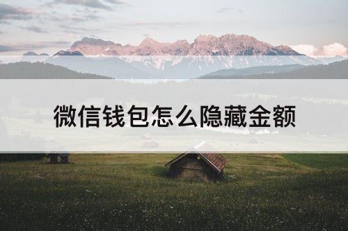 微信钱包怎么隐藏金额