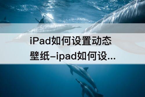 iPad如何设置动态壁纸-ipad如何设置动态壁纸视频