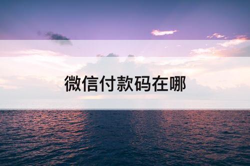 微信付款码在哪