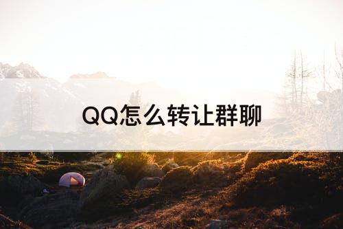 QQ怎么转让群聊