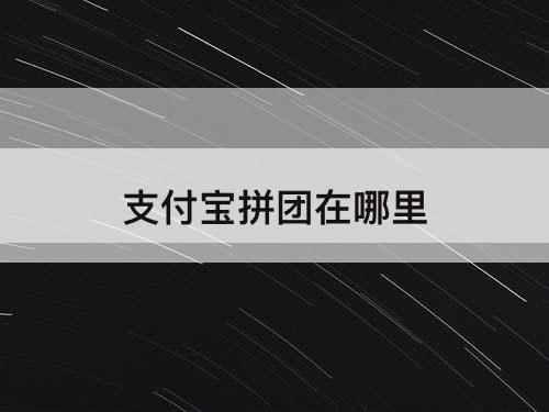 支付宝拼团在哪里