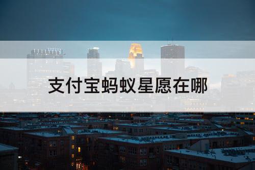 支付宝蚂蚁星愿在哪