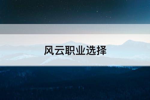 风云职业选择
