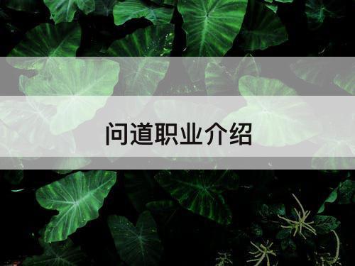 问道职业介绍