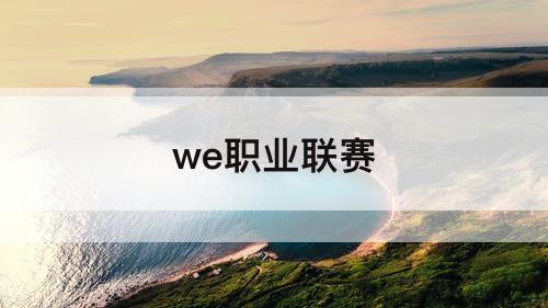 we职业联赛