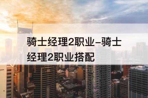 骑士经理2职业-骑士经理2职业搭配