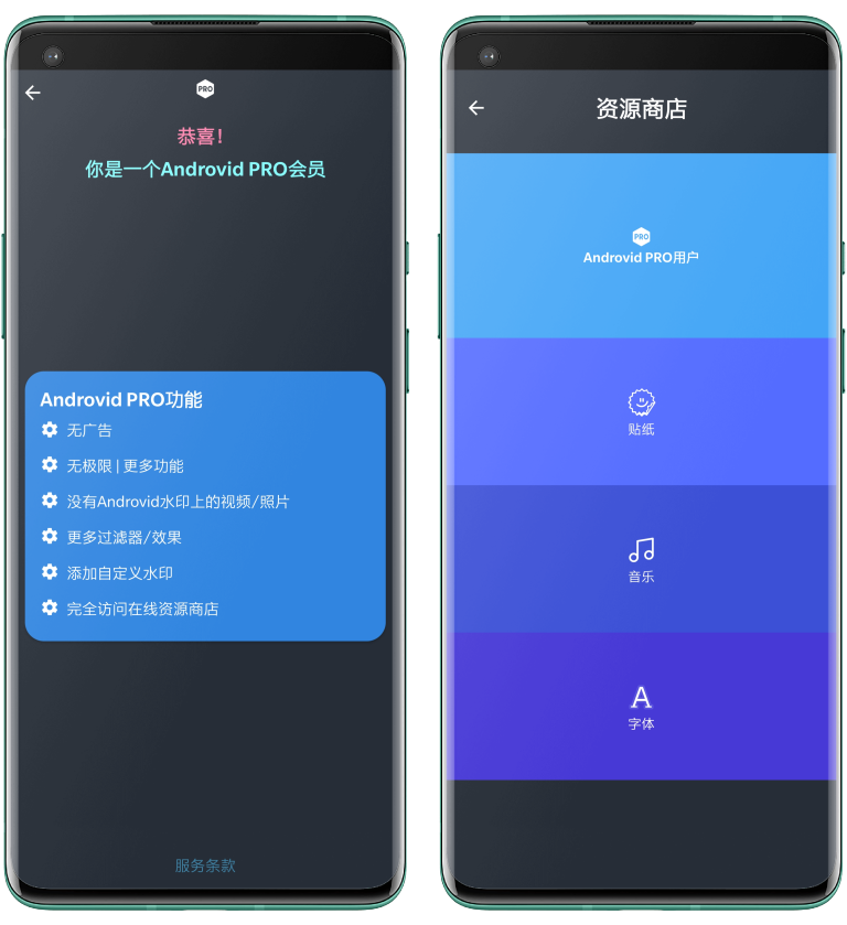 AndroVid截图