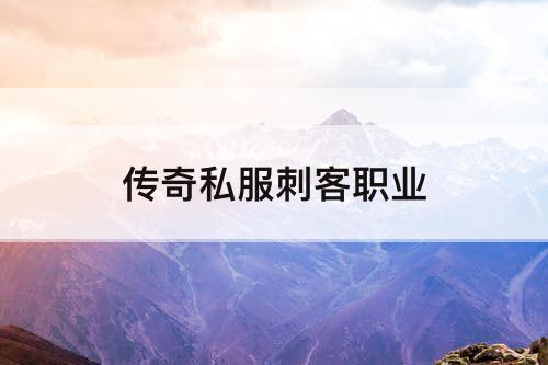 传奇私服刺客职业