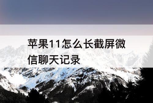 苹果11怎么长截屏微信聊天记录