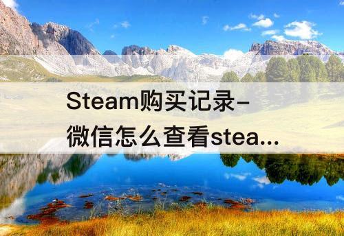 Steam购买记录-微信怎么查看steam购买记录