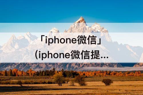 「iphone微信」(iphone微信提示音怎么调大小)
