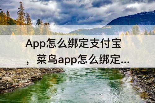 App怎么绑定支付宝，菜鸟app怎么绑定支付宝